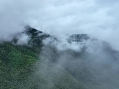 大岗山——在云端