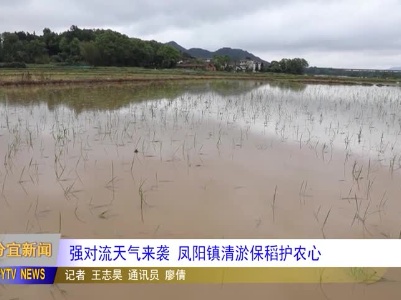 20240419强对流天气来袭 凤阳镇清淤保稻护农心