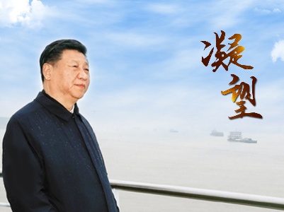 凝望