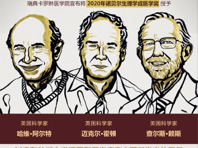 2020年诺贝尔生理学或医学奖揭晓，三人分享！
