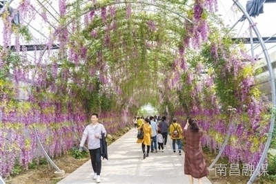 乡村旅游越来越红火（消费视窗）