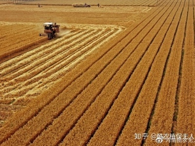 守住国家粮食安全生命线——农业农村部负责人解读《关于防止耕地“非粮化”稳定粮食生产的意见》