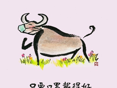 公益广告 —— 科学佩戴口罩