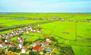 描绘乡村幸福景 谱写三农新篇章