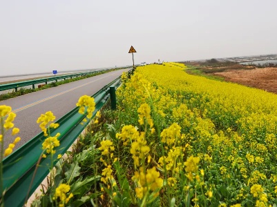 春暖花开季·跑步正当时丨2023南昌鄱阳湖生态马拉松大赛等你的到来！