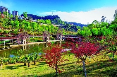 【大美中国】湿地公园风光美