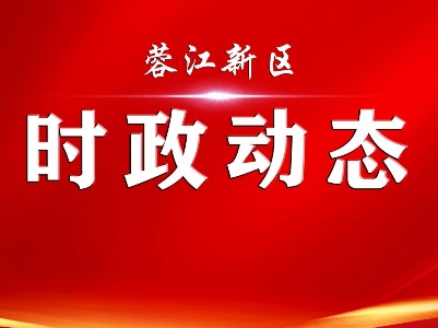 许伟实地调度峰韵龙井文旅项目建设工作