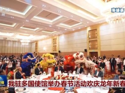 我驻多国使馆举办春节活动欢庆龙年新春-中新网