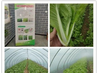 快来！丰城市扶贫产业基地农产品线上展销