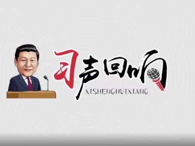 习声回响｜总书记的全面小康声音密码（四）