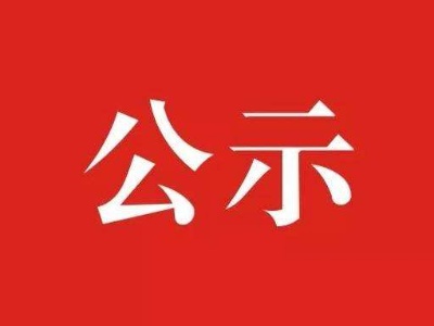领导干部任前公示