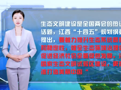 AI看两会 | 鹤舞鄱阳 看生态文明的江西样板