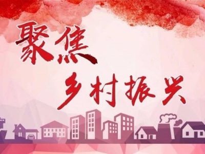 一棵菜、一条鱼、一粒米：年轻人热衷务农的“乡村振兴密码”