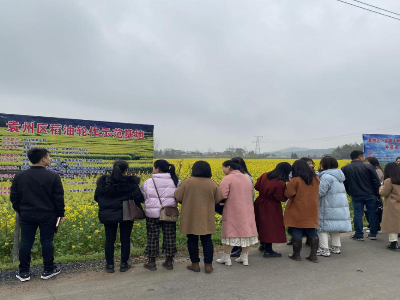 春日“四力”树新风，筑梦建村争先锋——记袁州区第六片区大学生专职村干片区活动