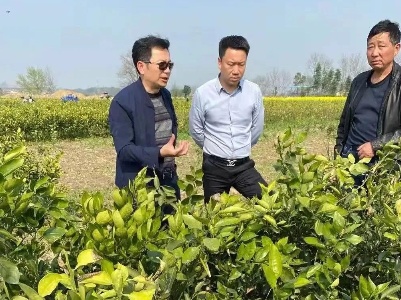 乡村振兴，为这些第一书记点赞！
