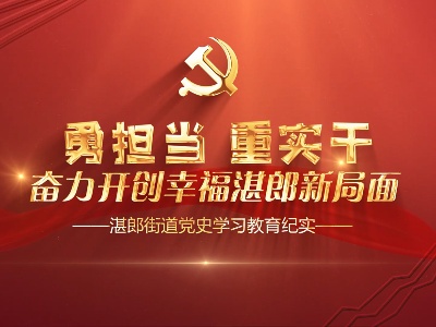 湛郎街道党史学习教育专题片