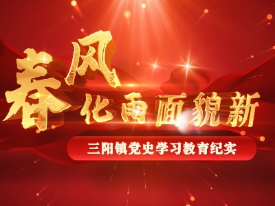 三阳镇党史学习教育专题片