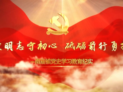 南庙镇党史学习教育专题片