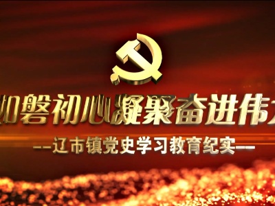 辽市镇党史学习教育专题片