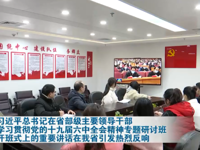 汲取历史智慧强化历史担当 奋力书写“作示范、勇争先”新篇章