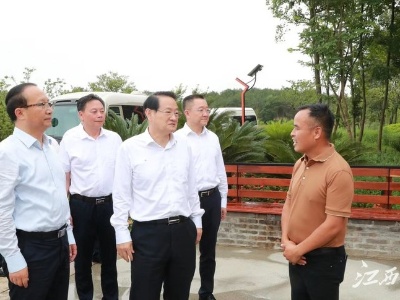易炼红在吉安调研：让赣风鄱韵魅力在新时代绽放璀璨光芒