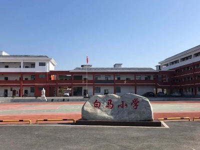 南庙镇白马村：强村新路马蹄疾
