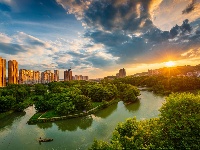 每日一景