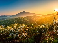 每日一景