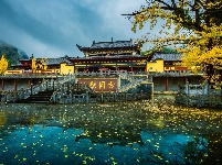 每日一景