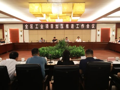 牢固树立“项目为王”理念，奋力推动项目建设上台阶、见实效