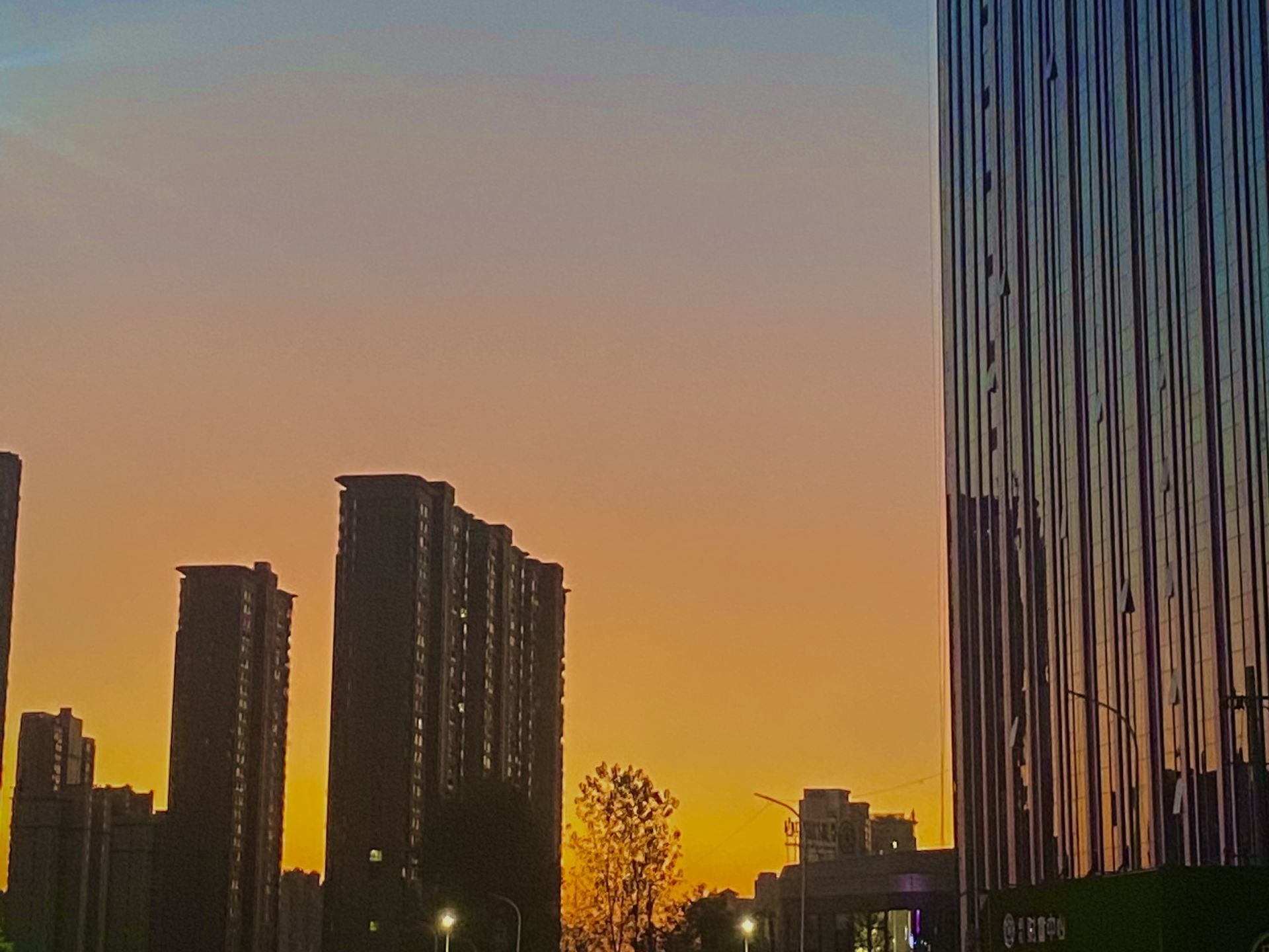 每日一景