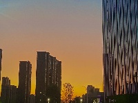 每日一景