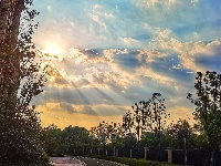 每日一景