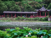 每日一景