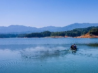 每日一景