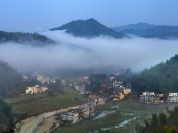 每日一景