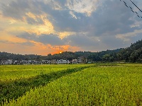 每日一景