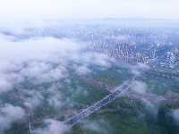 每日一景