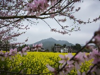 每日一景