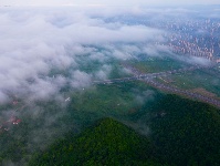 每日一景