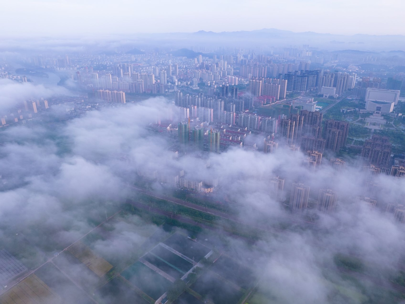 每日一景