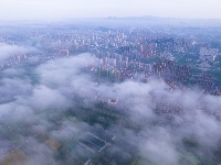 每日一景