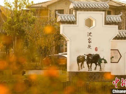未来乡村观察：万亩良田上的共富梦 