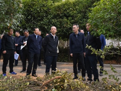 于秀明：​抢抓机遇全力推动宜春油茶产业高质量发展