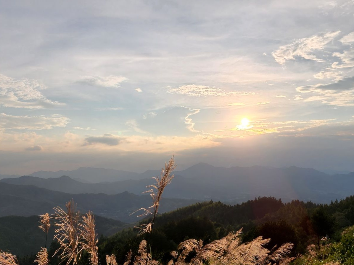 每日一景