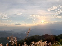 每日一景