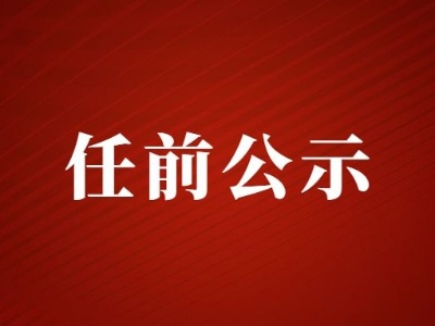 领导干部任前公示