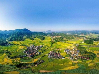 江西崇仁：新乡贤激起乡村振兴“一池活水”