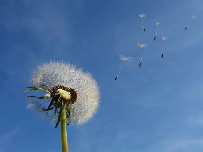 多地最低温冰点以下！三波冷空气要来，江西本周天气......