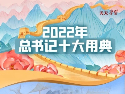 2022年总书记十大用典